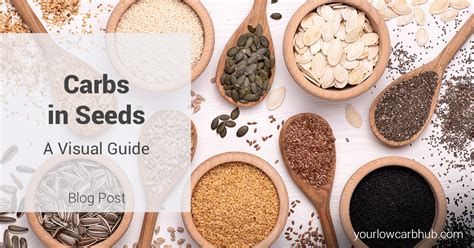 Carbs In Seeds A Visual Guide Your Low Carb Hub