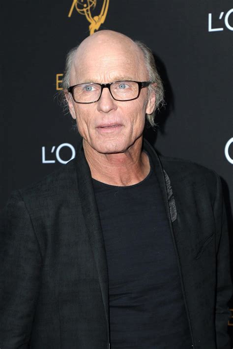 Los Angeles Sep 15 Ed Harris At The Television Academy Honors Emmy