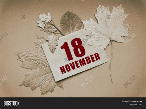 November 18 18th Day Image And Photo Free Trial Bigstock