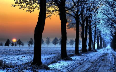 Snow Dirt Road Trees Sunset Wallpapers Hd Desktop And Mobile