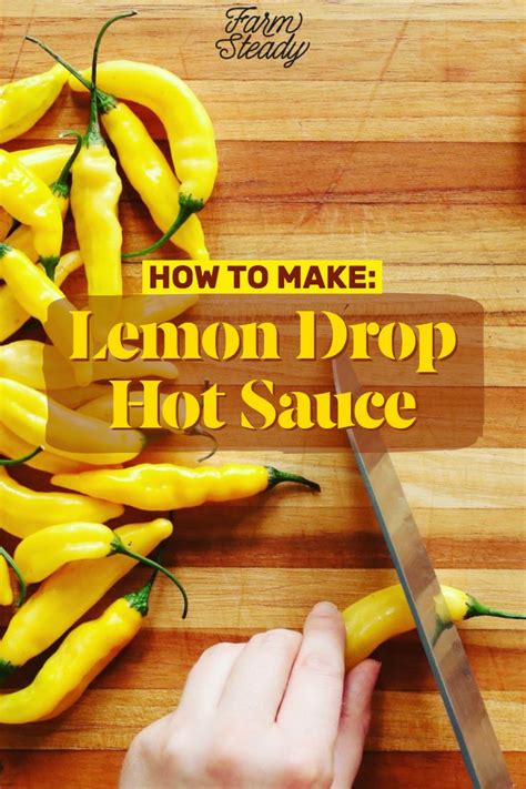 Recipe Lemon Drop Fermented Hot Sauce Recipe Hot Sauce Recipes