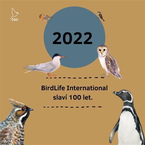 Birdlife International Slaví 100 Let • Česká Společnost Ornitologická