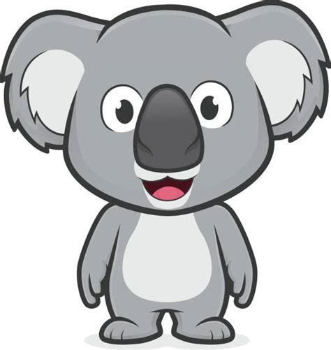 Stuffed Koala Bear Illustrations Royalty Free Vector
