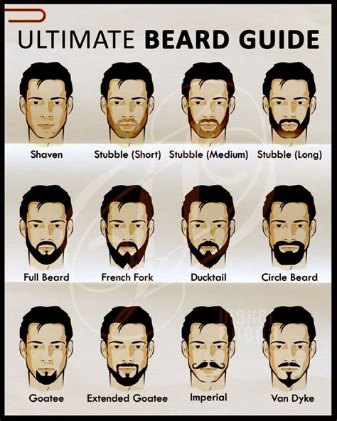 A Mans Guide To Beard Infographics Beard Guide Grow Beard