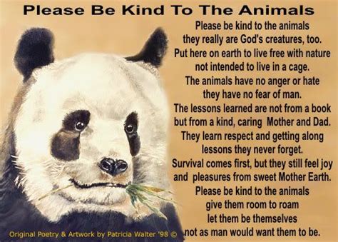 Please Be Kind To The Animals Photo This Photo Was Uploaded By