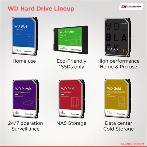 Western Digital Blue Vs Black Series Which Is Best For Your Needs