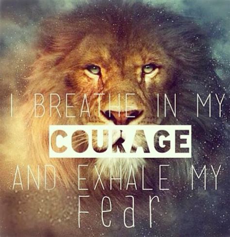 Quotes About Courage And Lions Quotesgram