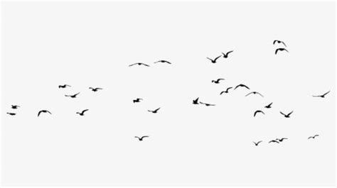 Flock Of Seagulls Silhouette Clip Art Clip Art Seagull