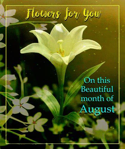Beautiful Month Of August Free August Flowers Ecards Greeting Cards
