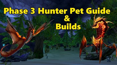 Phase 3 Hunter Pet Guide And Builds Youtube