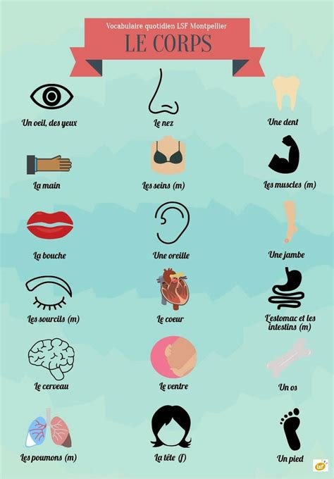 Pin by Yasso Shady on french (With images) | French language lessons ...