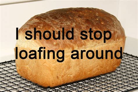 Concept 10 Funny Quotes About Bread Popullar