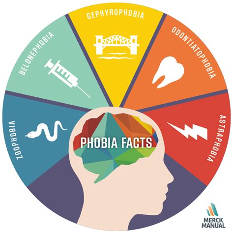 Get The Facts On Common Phobias And Learn When A Phobia Should Be