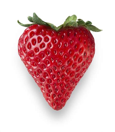 Strawberry Heart Stock Photo Image Of Fresh Vibrant 27718786