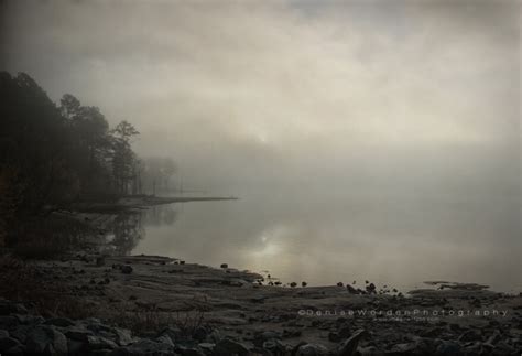 50 Magical Examples Of Misty Morning Photography The Photo Argus