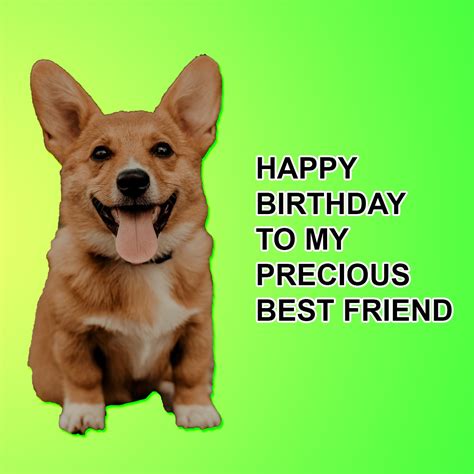 Free Funny Happy Birthday Best Friend Meme  Illustrator  Psd