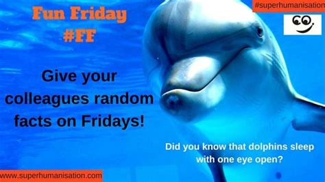 Fun Friday Give Random Facts Funfriday Fun Fact Friday Fun Facts