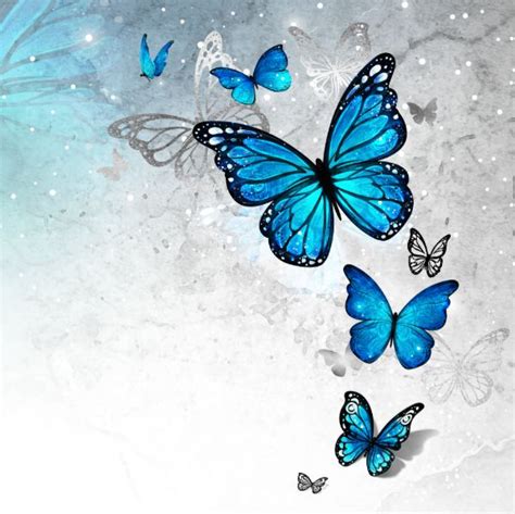 Elegant Blue Butterfly Cinderella Quinceanera Invitation Zazzle