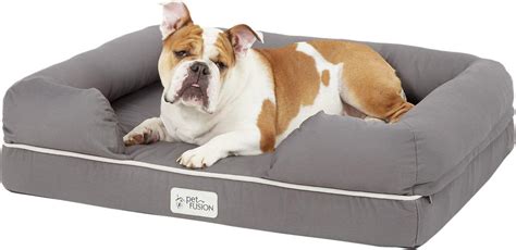 Kong Dog Bed Review Are Kong Beds Really Indestructible