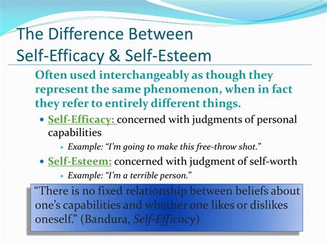 Self Esteem Self Efficacy