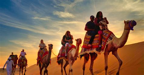 Dubai Sunset Camel Safari Stargazing Bbq At Al Khayma Desert
