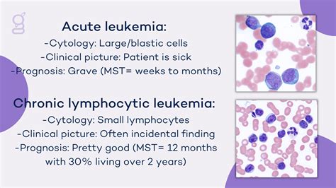 The Difference Between Acute And Chronic Leukemia