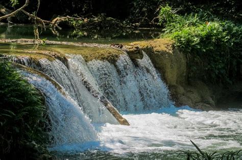 Waterfall In Green Jungle Tropical Forest Stock Photo Image Of
