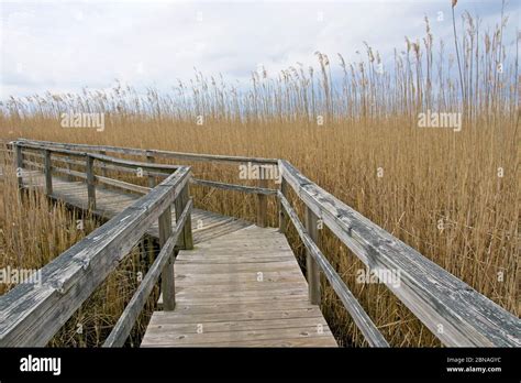 Boardwalk In Corolla On Outer Banks Of North Carolina Usa Stock Photo