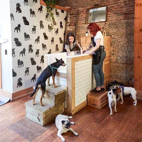 10 pet stores that are uniquely Upstate NY - newyorkupstate.com