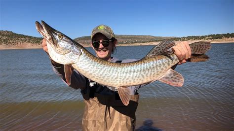 Tiger Muskie Fishing Bluewater Lake New Mexico Youtube