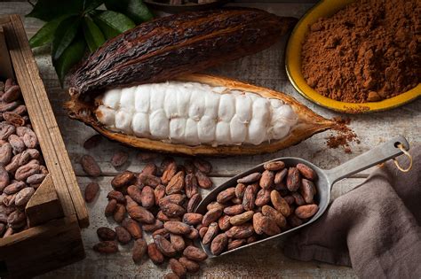 The Top Cocoa Producing Countries In The World Worldatlas