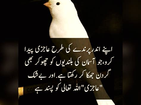 16 Inspirational Islamic Quotes And Poetry In Urdu Urdu Thoughts