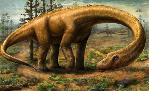 Paleontologists Downsize Giant Titanosaur Dreadnoughtus Schrani Scinews