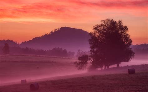 2560x1600 Misty Morning Sunrise 5k 2560x1600 Resolution Wallpaper Hd