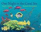 One Night in the Coral Sea – Charlesbridge