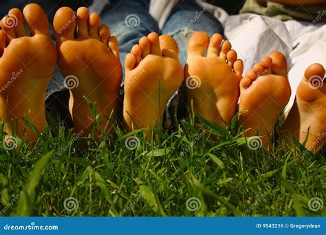Growing Feet Stock Photo Image Of Beautiful Fine Kids 9543216