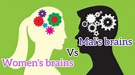 Difference between man's and women's brains - YouTube