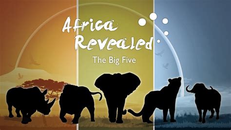 Africa Revealed What Are The Big Five Youtube
