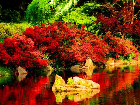 Beautiful Red Reflections In River Hd Desktop Wallpaper Widescreen