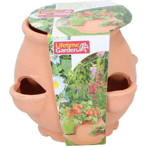 10 Best Strawberry Planters Buyer Guide