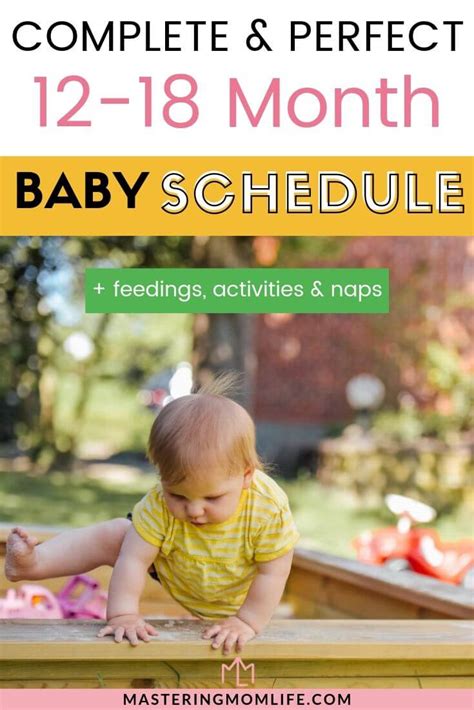 The Complete And Perfect 12 18 Month Old Baby Schedule Free Schedule