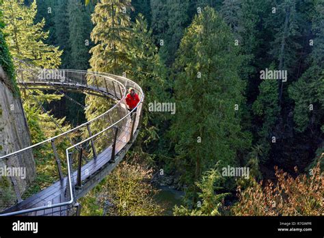 cliffwalk feature capilano suspension bridge park north vancouver british columbia canada