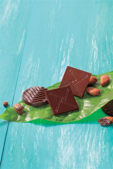 Two Pieces Of Chocolate Sitting On Top Of A Leaf With Nuts And Leaves