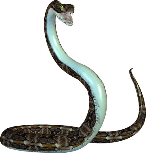 Animated Snake Png Image Purepng Free Transparent Cc0