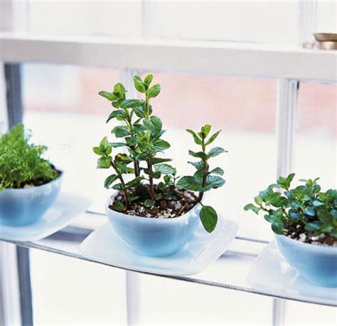 25 Cool Diy Indoor Herb Garden Ideas Hative