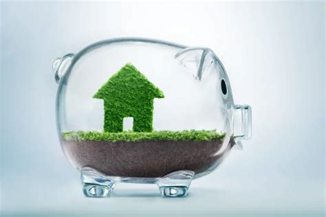Embrace Sustainability Transforming Your Property Into An Eco Friendly
