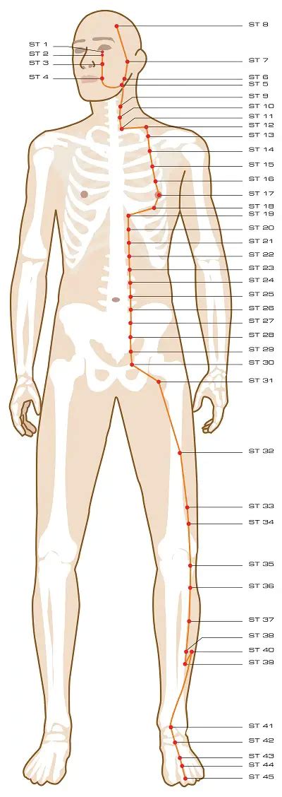 Acupuncture Points On Your Chest