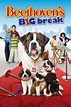 Beethoven's Big Break (2008) - Posters — The Movie Database (TMDB)