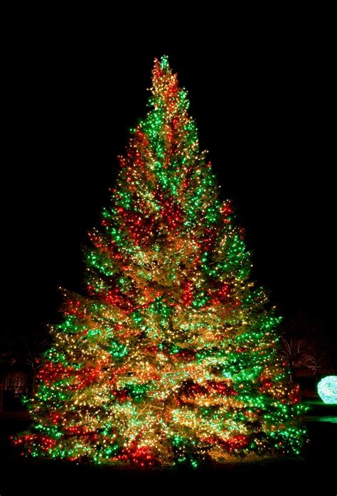 30 Christmas Lights Decorations On Trees Decoration Love