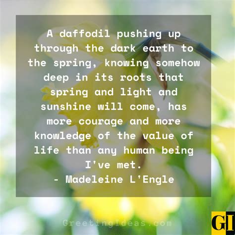 30 Lovely And Beautiful Daffodil Quotes And Sayings
